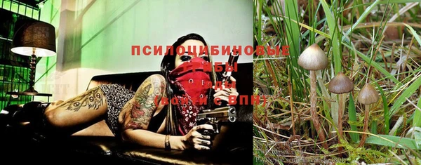 спайс Всеволожск
