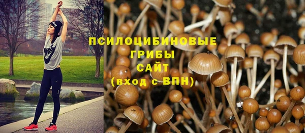 первитин Воткинск