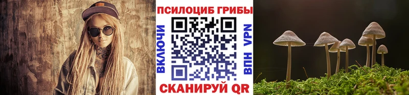 маркетплейс формула  Давлеканово  Псилоцибиновые грибы Cubensis  что такое  